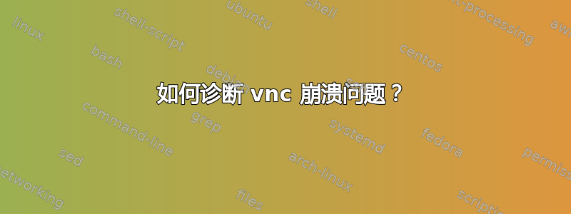 如何诊断 vnc 崩溃问题？