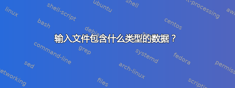 输入文件包含什么类型的数据？