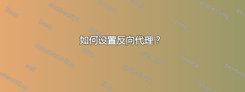 如何设置反向代理？