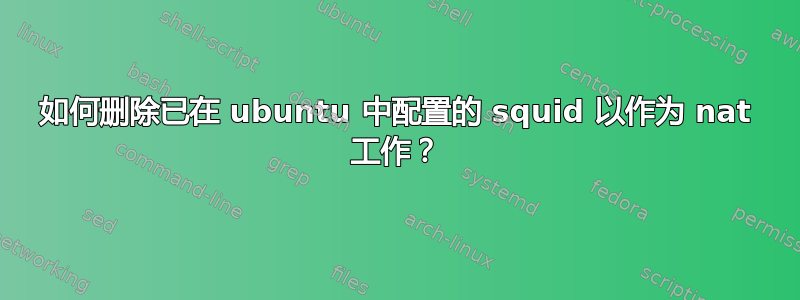 如何删除已在 ubuntu 中配置的 squid 以作为 nat 工作？