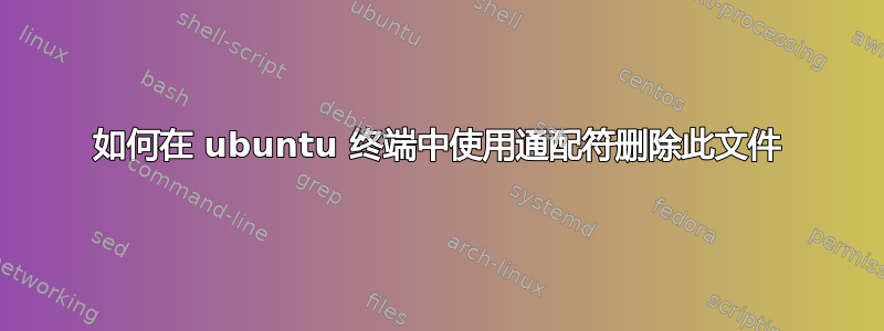 如何在 ubuntu 终端中使用通配符删除此文件