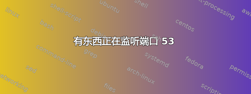 有东西正在监听端口 53