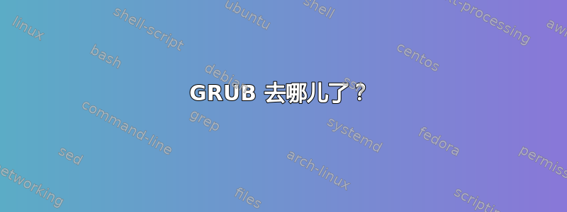 GRUB 去哪儿了？