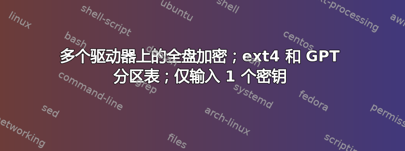 多个驱动器上的全盘加密；ext4 和 GPT 分区表；仅输入 1 个密钥