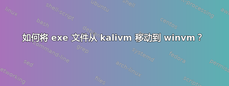 如何将 exe 文件从 kalivm 移动到 winvm？