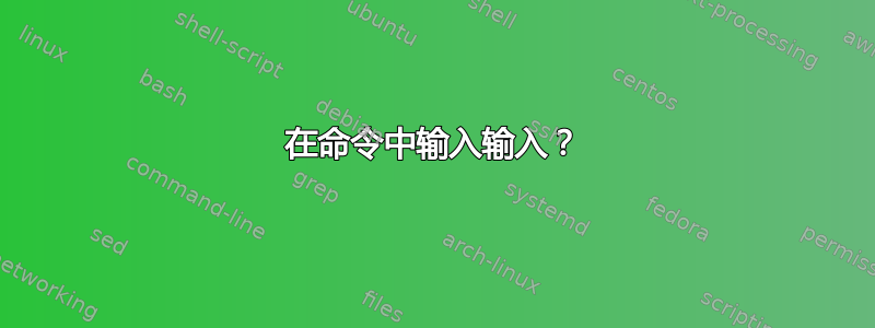 在命令中输入输入？