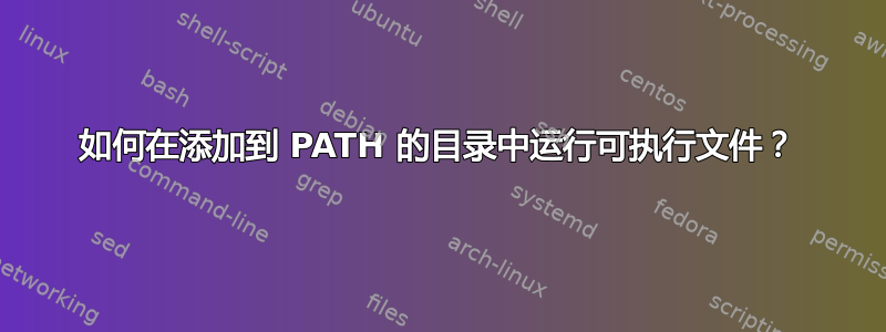 如何在添加到 PATH 的目录中运行可执行文件？