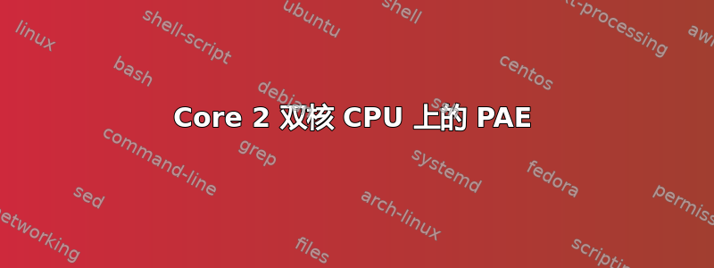 Core 2 双核 CPU 上的 PAE