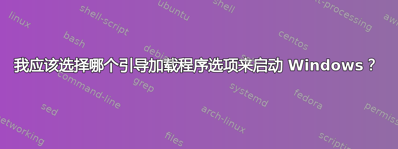 我应该选择哪个引导加载程序选项来启动 Windows？