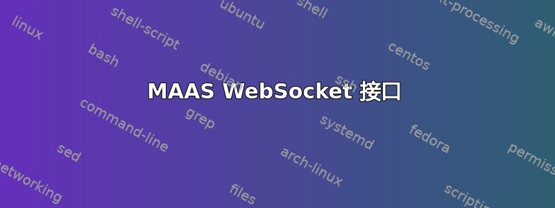 MAAS WebSocket 接口