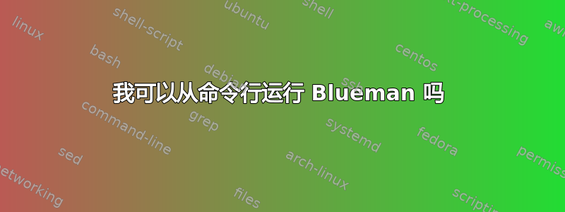 我可以从命令行运行 Blueman 吗