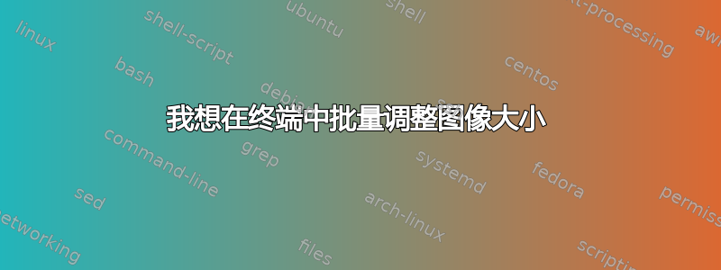 我想在终端中批量调整图像大小