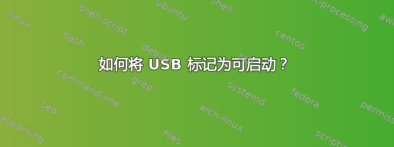 如何将 USB 标记为可启动？