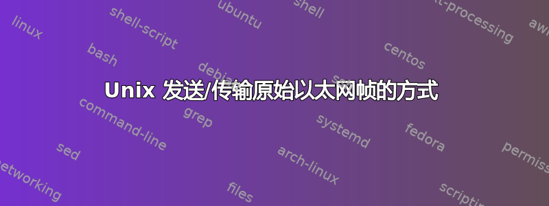 Unix 发送/传输原始以太网帧的方式