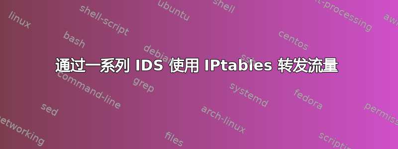 通过一系列 IDS 使用 IPtables 转发流量