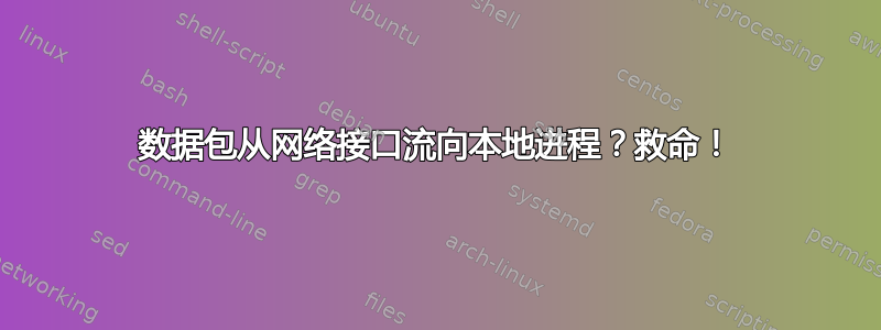 数据包从网络接口流向本地进程？救命！