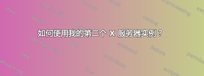 如何使用我的第二个 X 服务器实例？