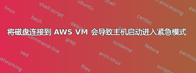 将磁盘连接到 AWS VM 会导致主机启动进入紧急模式