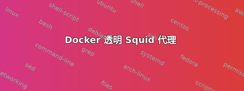 Docker 透明 Squid 代理
