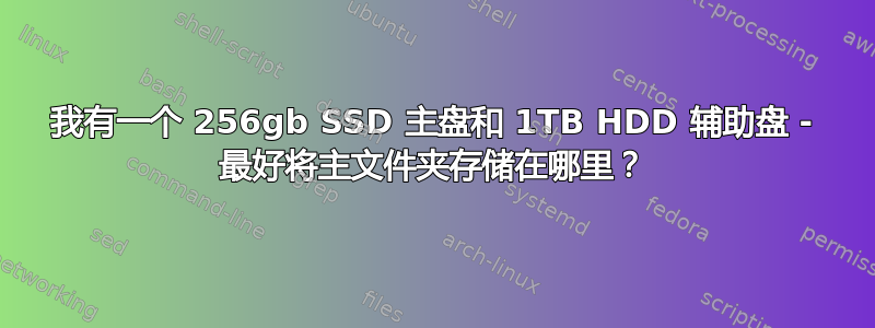 我有一个 256gb SSD 主盘和 1TB HDD 辅助盘 - 最好将主文件夹存储在哪里？