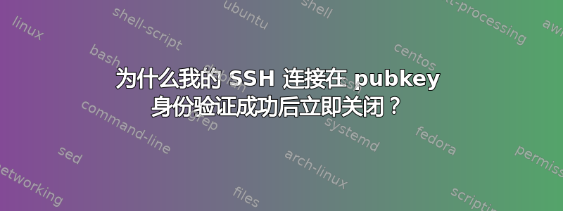 为什么我的 SSH 连接在 pubkey 身份验证成功后立即关闭？