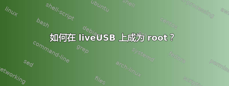 如何在 liveUSB 上成为 root？