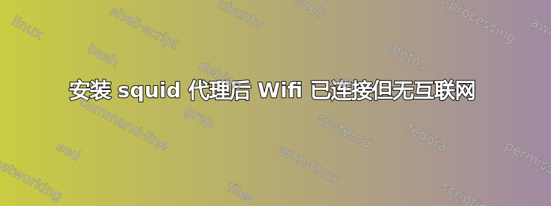 安装 squid 代理后 Wifi 已连接但无互联网