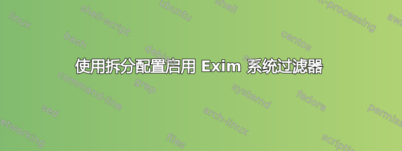 使用拆分配置启用 Exim 系统过滤器