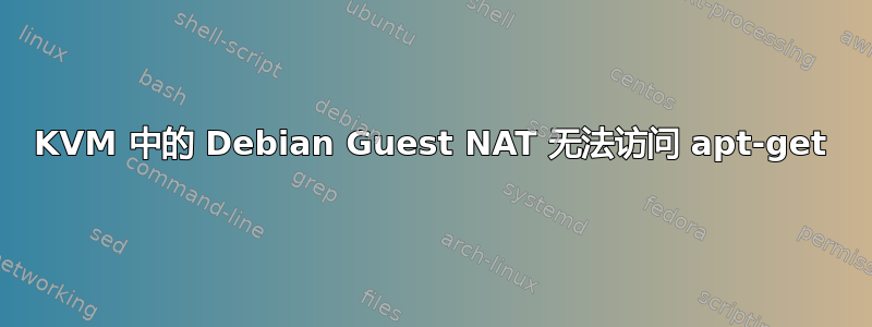 KVM 中的 Debian Guest NAT 无法访问 apt-get