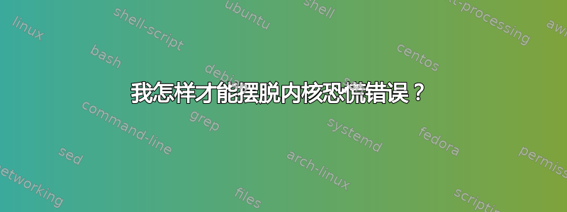 我怎样才能摆脱内核恐慌错误？