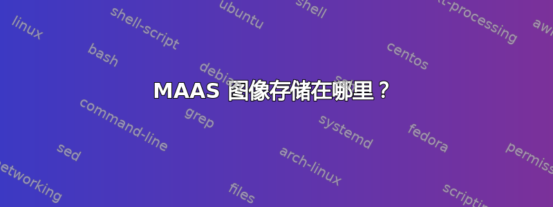 MAAS 图像存储在哪里？