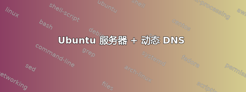 Ubuntu 服务器 + 动态 DNS