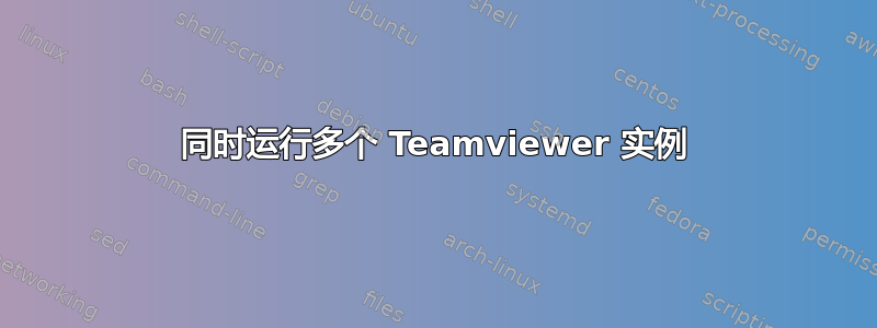 同时运行多个 Teamviewer 实例