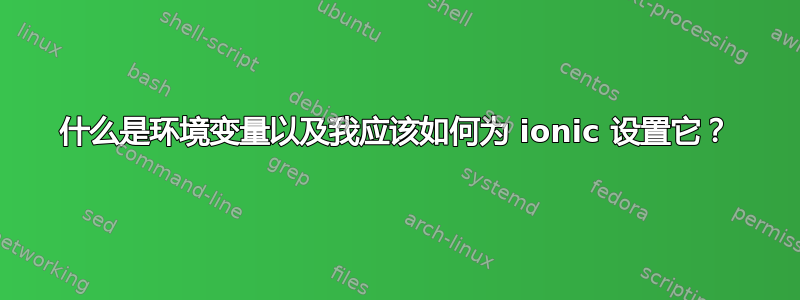 什么是环境变量以及我应该如何为 ionic 设置它？