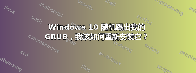 Windows 10 随机踢出我的 GRUB，我该如何重新安装它？