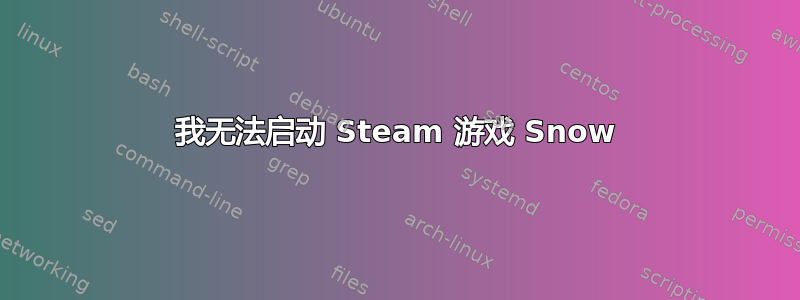 我无法启动 Steam 游戏 Snow