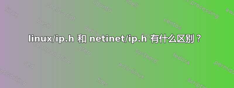 linux/ip.h 和 netinet/ip.h 有什么区别？