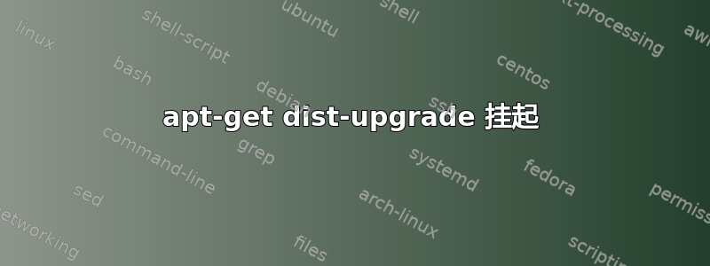 apt-get dist-upgrade 挂起