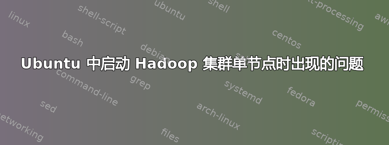 Ubuntu 中启动 Hadoop 集群单节点时出现的问题