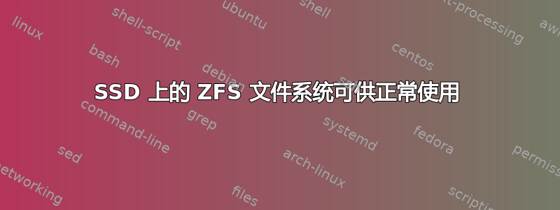 SSD 上的 ZFS 文件系统可供正常使用