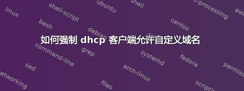 如何强制 dhcp 客户端允许自定义域名