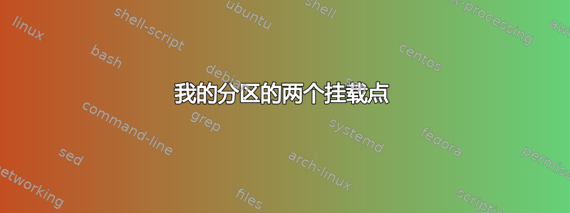 我的分区的两个挂载点