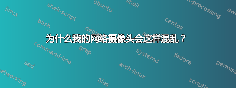 为什么我的网络摄像头会这样混乱？