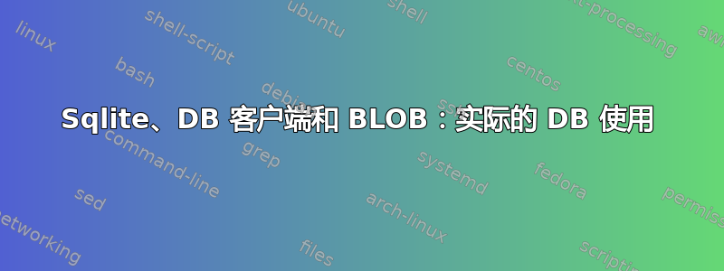 Sqlite、DB 客户端和 BLOB：实际的 DB 使用