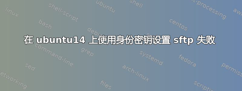 在 ubuntu14 上使用身份密钥设置 sftp 失败