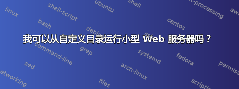 我可以从自定义目录运行小型 Web 服务器吗？