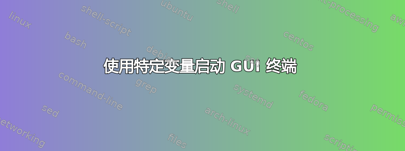 使用特定变量启动 GUI 终端