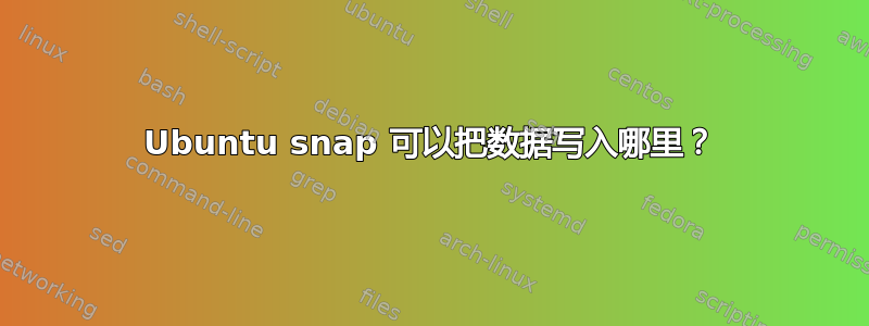 Ubuntu snap 可以把数据写入哪里？