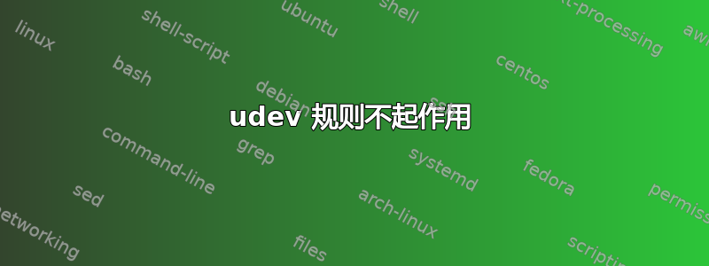 udev 规则不起作用