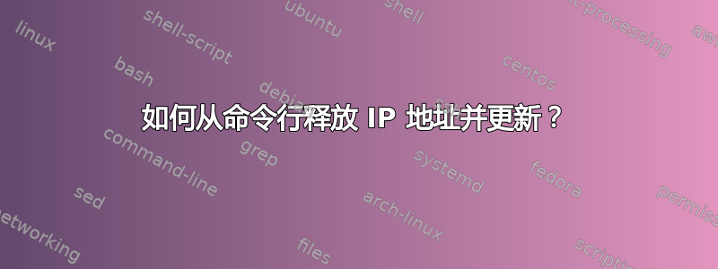 如何从命令行释放 IP 地址并更新？